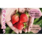 ★いちごの王様 産博多あまおう250g×4パック