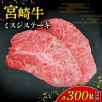 牛肉 宮崎牛シャトーブリアン 2枚