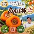 庄内あんぽ柿 9個入