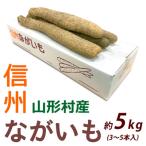 信州 長いも 5kg