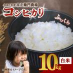 産コシヒカリ白米計10kg 精米