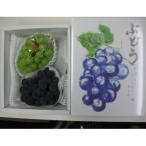 ショッピングふるさと納税 シャインマスカット ふるさと納税 観音寺市 人気の2品種　シャインマスカット+ピオーネ食べ比べセット　約1.2kg(各1房)