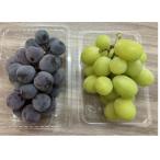 ショッピングふるさと納税 シャインマスカット ふるさと納税 観音寺市 【満足セット】シャインマスカット+ピオーネ　パック食べ比べセット　約2.4kg以上(各3〜5パック)