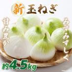 この時期にしか味わえない みずみずしく甘み豊かな