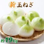 この時期にしか味わえない みずみずしく甘み豊かな