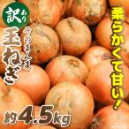 訳ありそのまんま玉ねぎ 約4.5kg