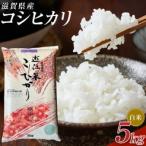 近江米コシヒカリ5kg 精米