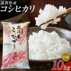 近江米コシヒカリ 10kg