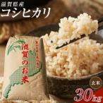 近江米コシヒカリ 30kg