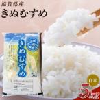 近江米きぬむすめ白米5kg