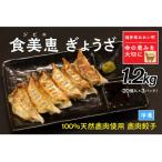 わかさ食美恵ぎょうざ 20個入り×3パック
