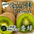 fu.... налог юг Alps город [ фрукты королевство Yamanashi ]... большой шар .. киви фрукты [. зеленый ] 1 упаковка 4~5 штук входит ×6 упаковка комплект 