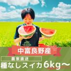 fu.... налог средний . хорошо . блок AW-012[2026 год 7 месяц последняя декада ~8 месяц последняя декада отправка предположительно ] вид нет арбуз 1 шар (6kg~)