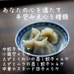 本格飲茶 特選点心セット5種 小籠包 エビ餃子2種
