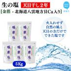 天日干し2年 火入れしない生の塩 極楽塩 1kg×5袋