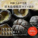 阿蘇うぶやま産 原木乾燥椎茸 箱入り どんこ良品