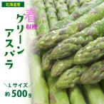 fu.... налог Asahikawa город 2026 год departure [ весна .. зеленый aspala]L размер примерно 500g_05529