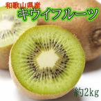 fu.... налог Хайнань город Wakayama префектура производство киви фрукты примерно 2kg( размер смешивание )