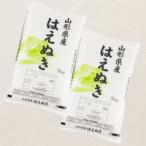 はえぬき 精米 10kg
