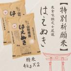 米食味鑑定士厳選 新庄産 はえぬき 精米 8kg