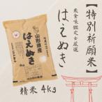 米食味鑑定士厳選 新庄産はえぬき 精米 4kg