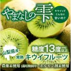 fu.... налог Yamanashi город [ фрукты королевство Yamanashi ]..... киви фрукты 1 упаковка 6 штук входит ×6 упаковка комплект 
