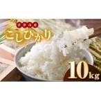 こしひかり 精米 10kg