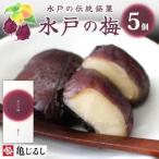 水戸の梅 1箱