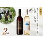 赤ワイン マスカット ベーリーA 白ワイン