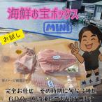 訳あり 伊勢志摩産 お試し お宝ボックス Mini
