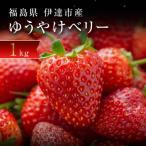 ふるさと納税 伊達市 新品種のいちご 福島県 オリジナル品種「ゆうやけベリー」約1kg F20C-678
