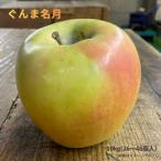 ふるさと納税 黒石市 訳あり/家庭用 ぐんま名月 約10kg(26〜46個)【2026年11月〜順次発送予定】