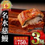 ふるさと納税 志布志市 鹿児島県産うなぎ蒲焼 名水慈鰻 3尾(1尾約236〜270g)《計約750g》
