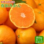紀州有田みかん約5kg