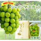 シャインマスカット 1房 約620g