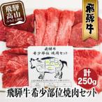A5等級 飛騨牛 希少部位 焼肉セット 250g
