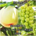 詰合 白桃 2玉