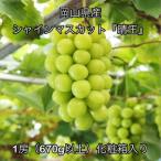 シャインマスカット 晴王 1房 670g以上