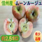信州産赤果肉 ムーンルージュ 約2.5kg