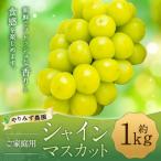 ふるさと納税 うきは市 【先行予約】 やりみず農園 農家応援! ご家庭用 シャインマスカット(約1kg)