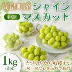 ふるさと納税 高畠町 【産地直送・家庭用】シャインマスカット 2房 約1kg 1箱 山形県高畠町産 高糖度