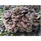 fu.... налог .. река блок Mai . древесина 4 шт. комплект 