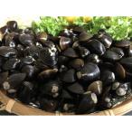 fu.... налог сеть пробег город o сигнал tsuk производство прямой рынок краб .. популярный сеть пробег озеро производство крупный ....200g×6 пакет . всего 1.2kg удобный небольшое количество . комплект 