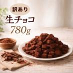 ふるさと納税 周南市 訳あり 濃厚生チョコレート 約780g(割れ・不揃い)