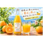 温州みかんジュース 720ml×2本