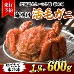fu.... налог Asahikawa город [ предшествующий предварительный заказ ] Hokkaido o сигнал tsuk производство море открытие . четырёхугольный волосатый краб Boyle не рефрижератор наклон рефрижератор рассылка 600g передний и задний (до и после) ×1 хвост _05668