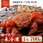 オホーツク産海明け活毛ガニ ボイル未冷凍配送