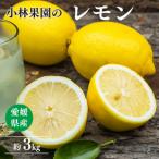 柑橘農家が育てたレモン 約3キロ