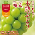 木熟ぶどう プレミアム シャインマスカット晴王