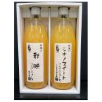田七屋のリンゴジュース おまかせ2本セット 1000ml×2本